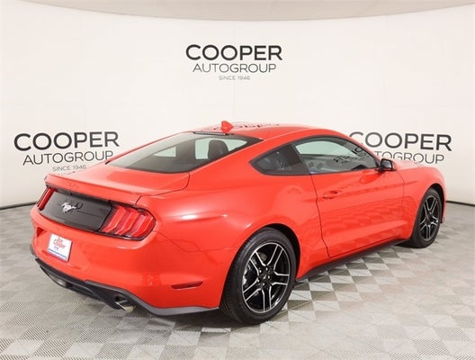 2023 Ford Mustang EcoBoost Premium in Oklahoma City, OK - Joe Cooper Ford Group